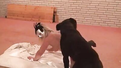 Dog licking girl: bestiality video rule