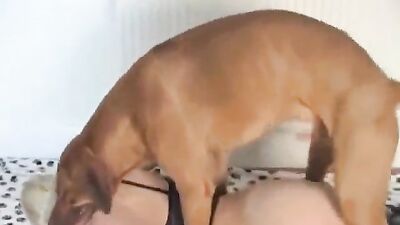 Best dog girl: jav bestiality porn2026
