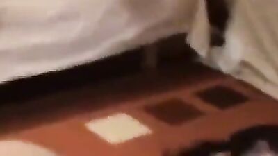 Animal crossing porn: pussy animal porn