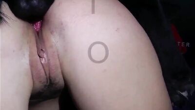 Girls 5 dogs: bestiality girls video