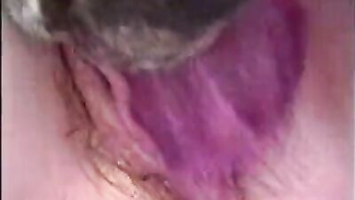 Teen dog sex: petting dog porn