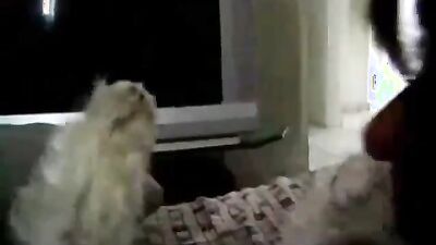 Dog girl anal: bestiality free