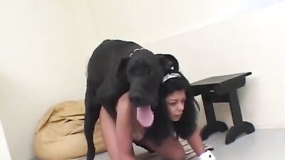 Dog pussy girls: zoo porn hentai comics