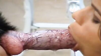 3d bestiality: sex zoo porn gay