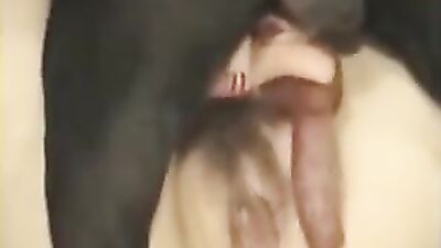 Girls s dogs: zoophilia ai video