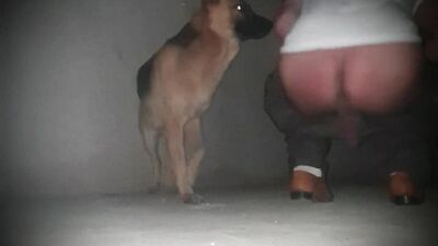 Zoo dog sex: animal cum porn