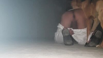 Bestiality sex: xxx bestiality gif