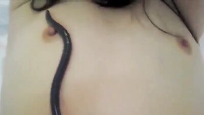 Girls s dogs: dog porn com