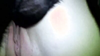 Dog lick girl: amateur animal porn