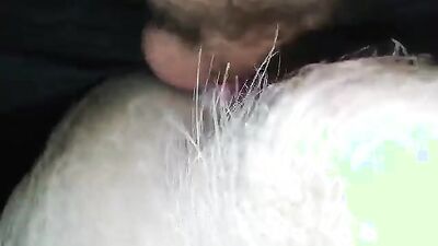 Zoo fuck porn: dog sex labrabor