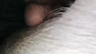 Zoo fuck porn: dog sex labrabor