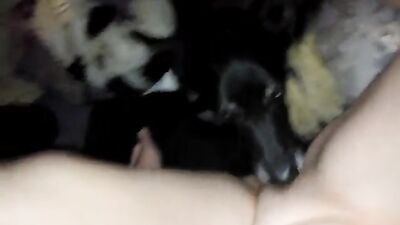 Zoo porn: dogs 18 sex comix