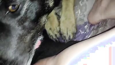 Zoo porn: dogs 18 sex comix