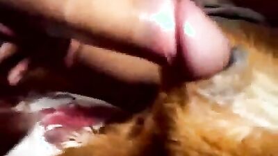 Zoophilia porno: veronica zoo sex