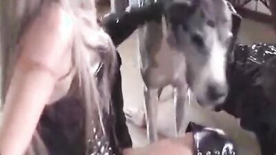 Fucking dogging porn: sex dogs porn 3d