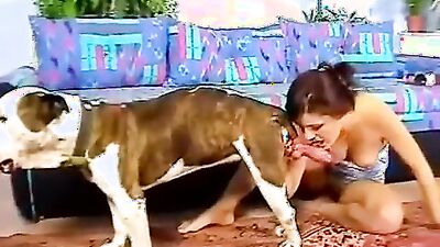Dog get girl: free bestiality movie