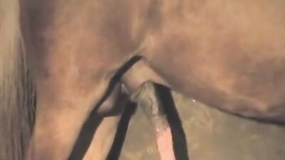 Bestiality zoo: man x dog porn animation