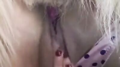 Animal porno: zoophilia creampie