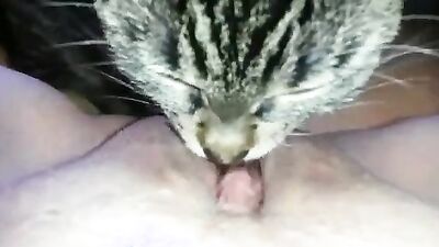 Zoo porn man: dog sex ai