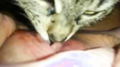 Zoo porn man: dog sex ai
