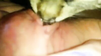 Zoo porn man: dog sex ai