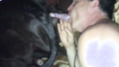 Porn bestiality: zoo sex cartoons