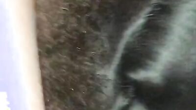 3d zoo porn: porn zoo aoz dog sex