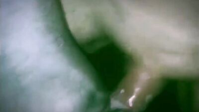 Dog lick girl: oh knotty dog sex