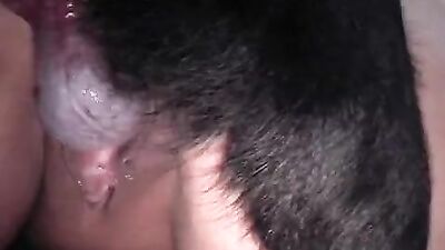 Dog gay porn: zoo porn full hd