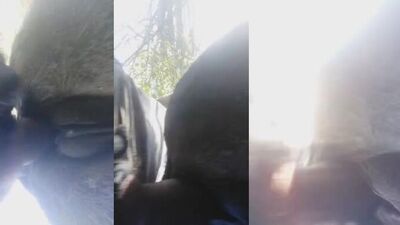 Zoo porn: x zoo porn