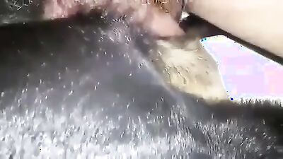 2 dog girl: porn zoo sex gay