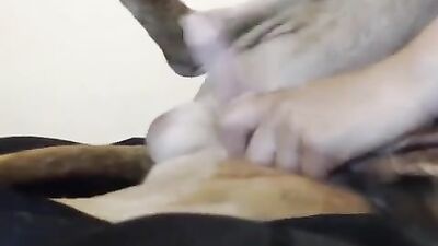 Girl cat dog: animal sex women