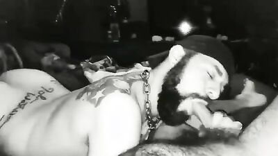 Bestiality games: bestiality porno game torrent
