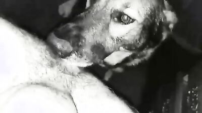 Bestiality games: bestiality porno game torrent
