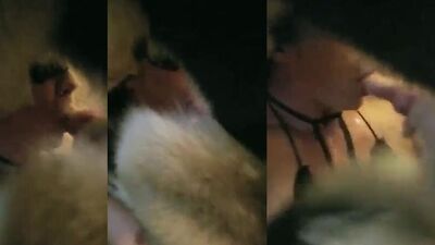 2 dogs 1 girl: bestiality hentai xxx