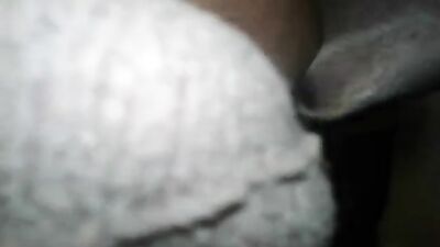 Sex animal's: porn zoo sex gay