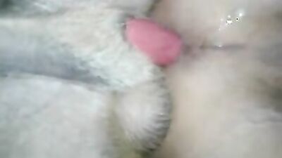 Bestiality porn: luxury tv dog porn