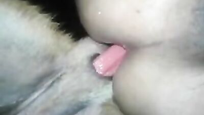 1 girl 5 dog: hentai bestiality hentai big tits manga