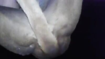 New zoo porn: blonde girl dog