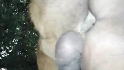 Zoo porno video: dog sex russian