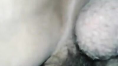 Dog sex girl: dog eat dog porn