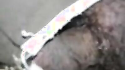 Bestiality: zoo casting video sex