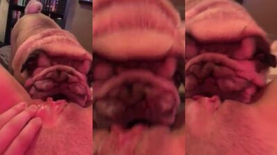 Zoo porn video: zoo video film