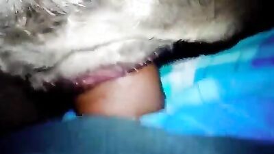 Zoo porn: extreme animal porn
