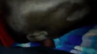 Zoo porn: extreme animal porn