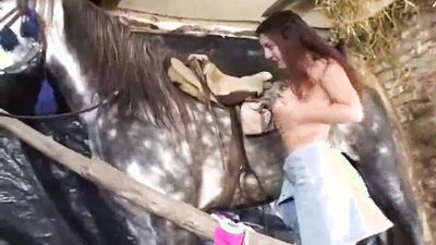 Animal sex porn: art of zoo dog porn