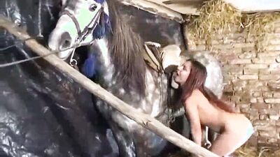 Animal sex porn: art of zoo dog porn