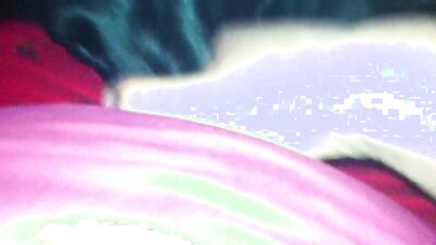 Zoophilia: dog sex party