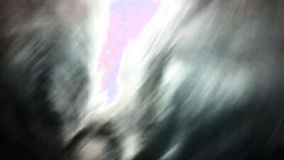 Zoophilia: dog sex party
