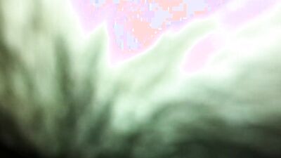 Zoophilia: dog sex party